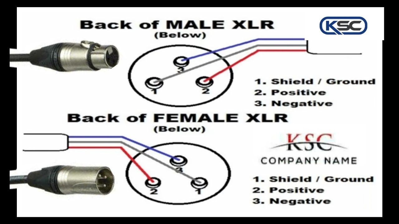 Connection XLR  Male XLR to female XLR