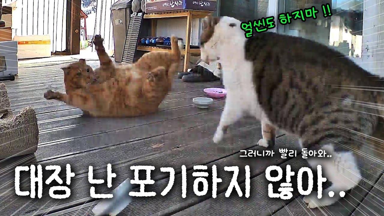 대장이 사라진 그날 이후 모든 것이 달라졌다.