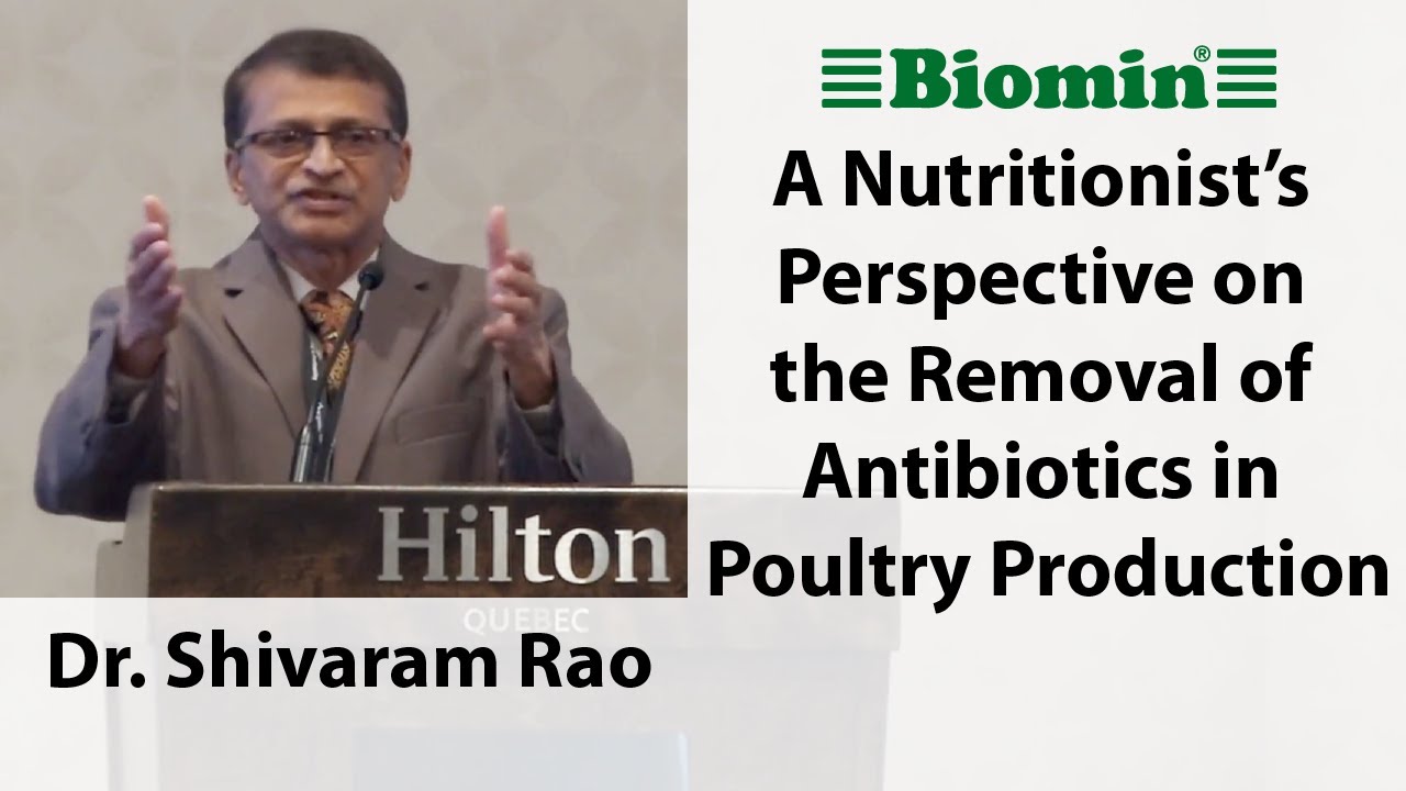 A Nutritionist’s Perspective on the Removal of Antibiotics in Poultry Production