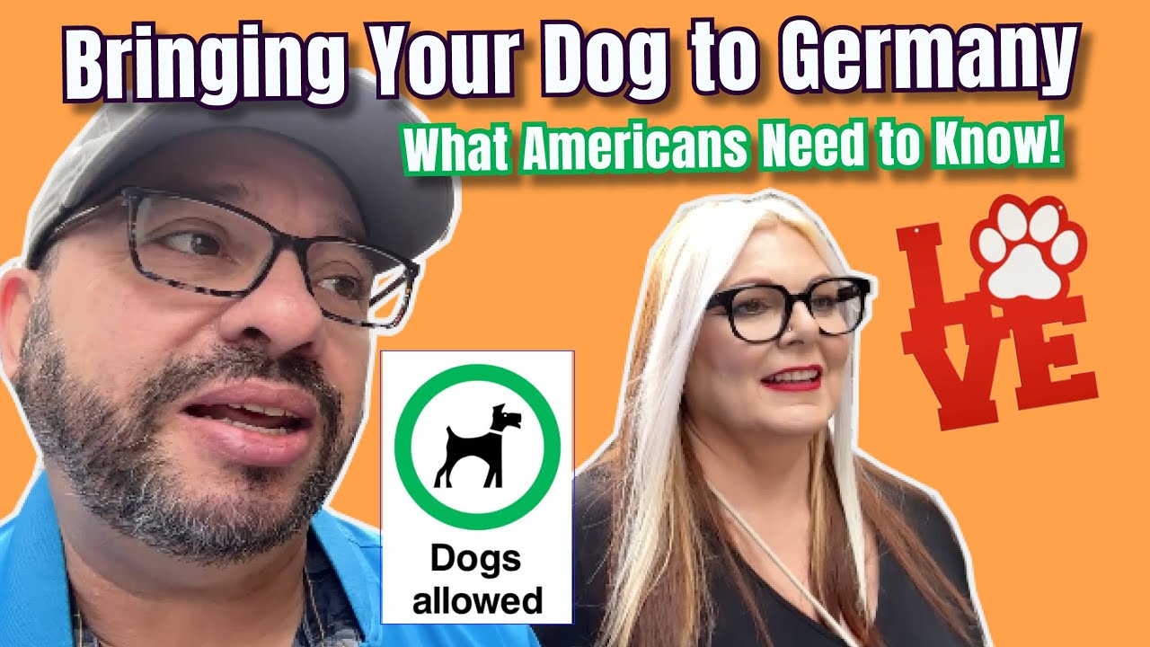 How Americans Can Bring Dogs to Germany Successfully