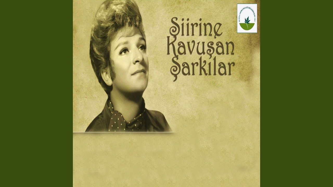 Bir Gönül Hikayesi