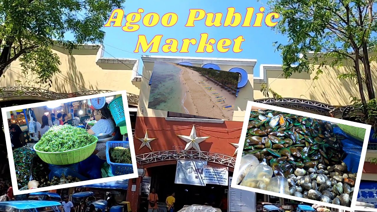 Agoo La Union public market tour Feb 2023 #asmr