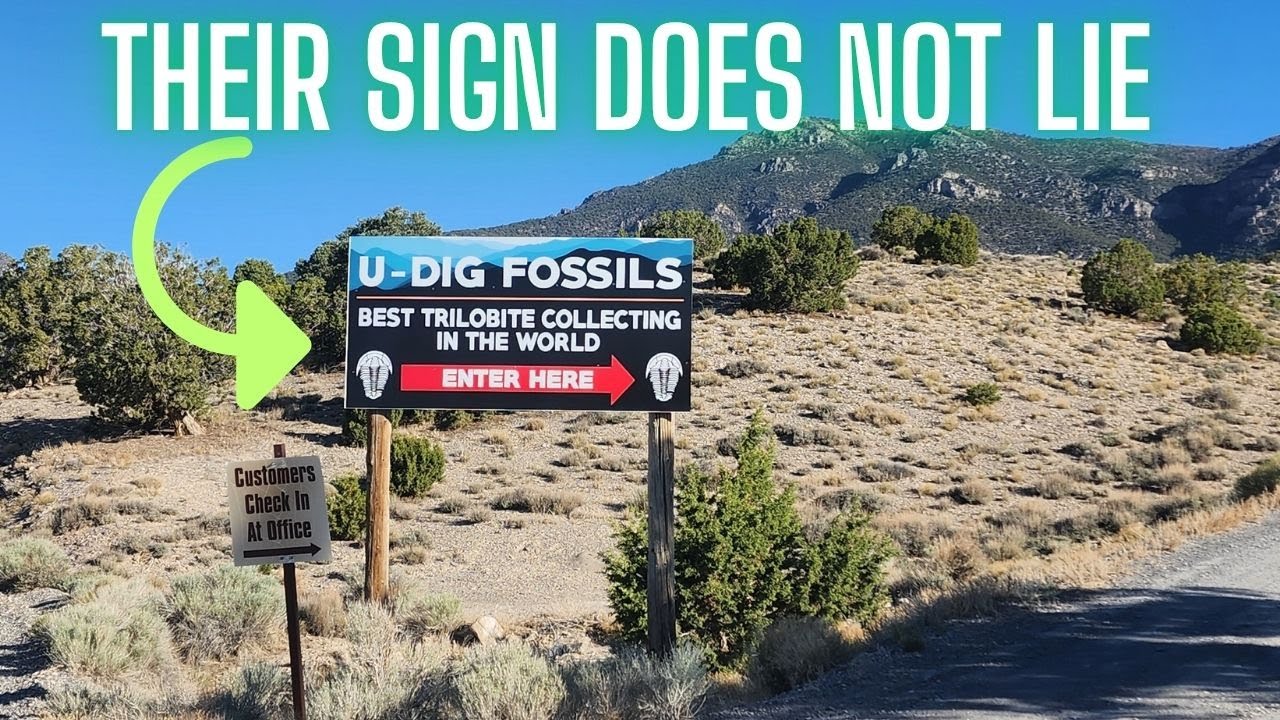 My 4th Trip to U-Dig Fossils – And I Still Can’t Get Enough!