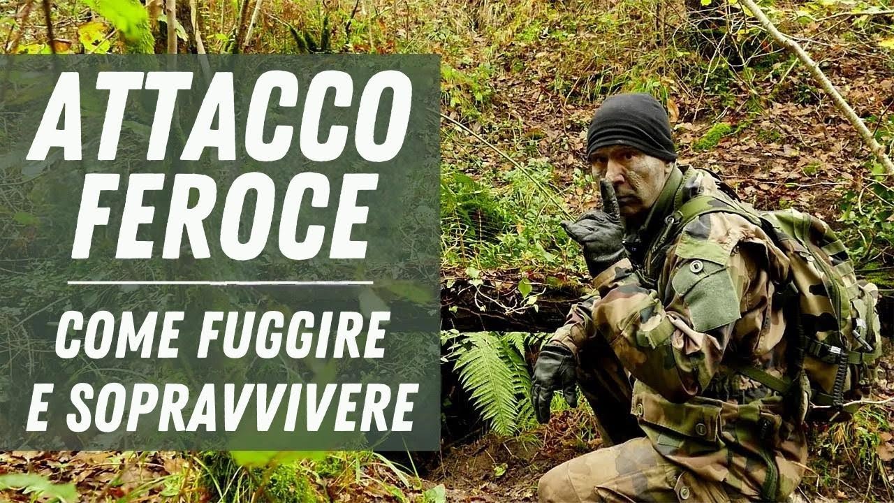Sopravvissuto a un'ATTACCO... Fuga, caccia, evasione. Come sparire nella natura.