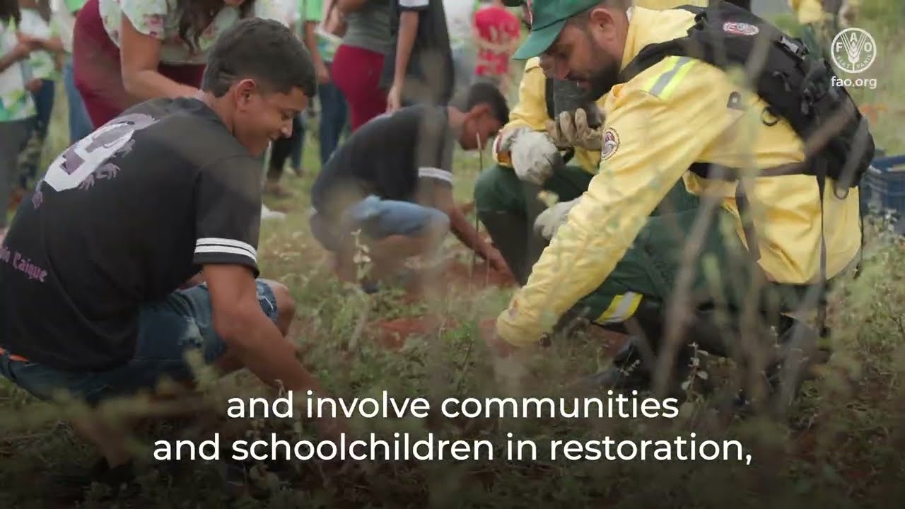 Integrated Fire Management: local solutions, global action
