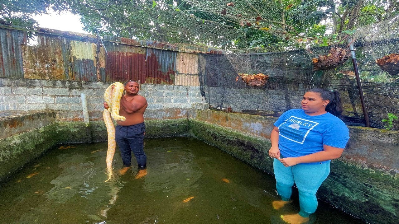 Le enseñó el culebrón a mi vecina y sale corriendo