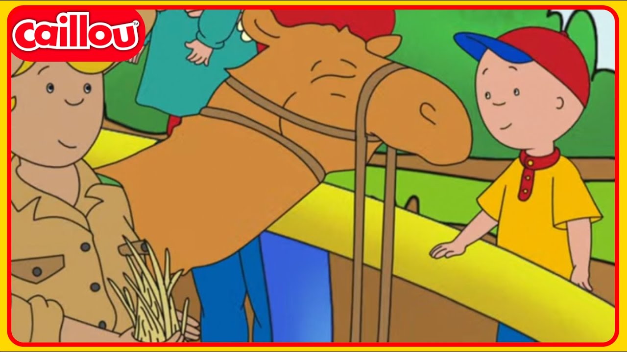 Caillous Kamelritt | Caillou Klassiker