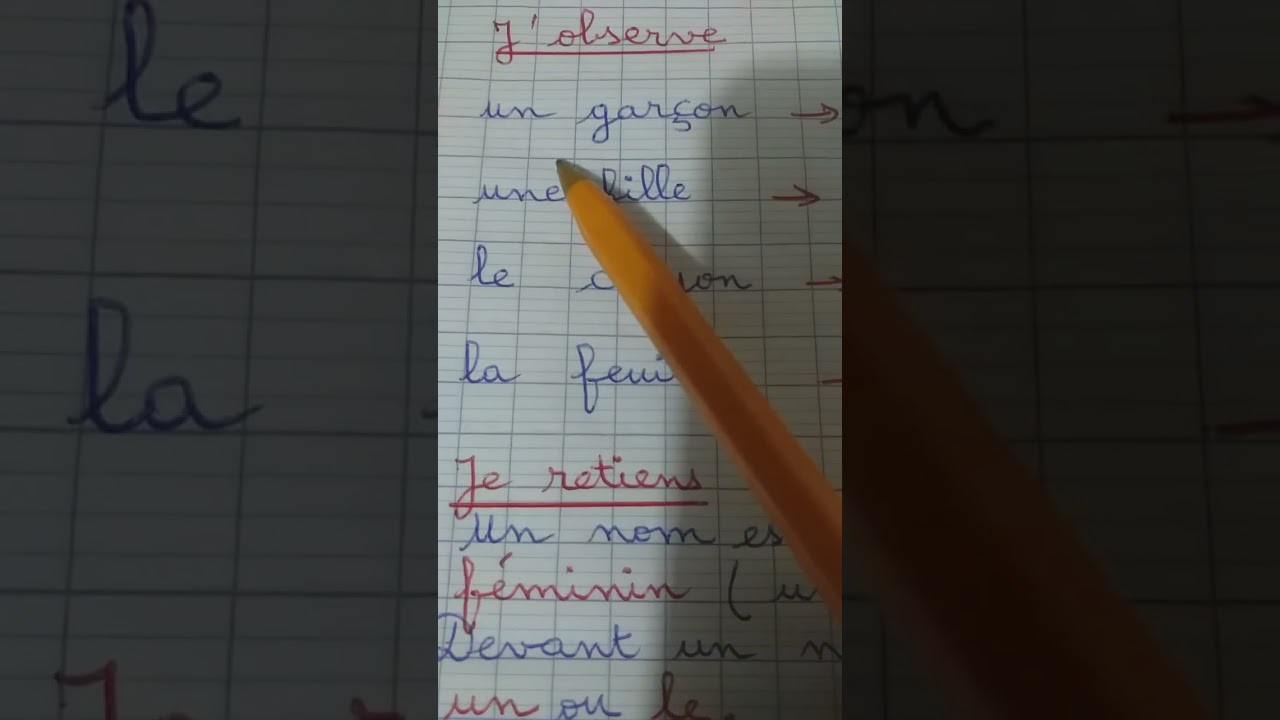 Le féminin et le masculin du nom Ce1