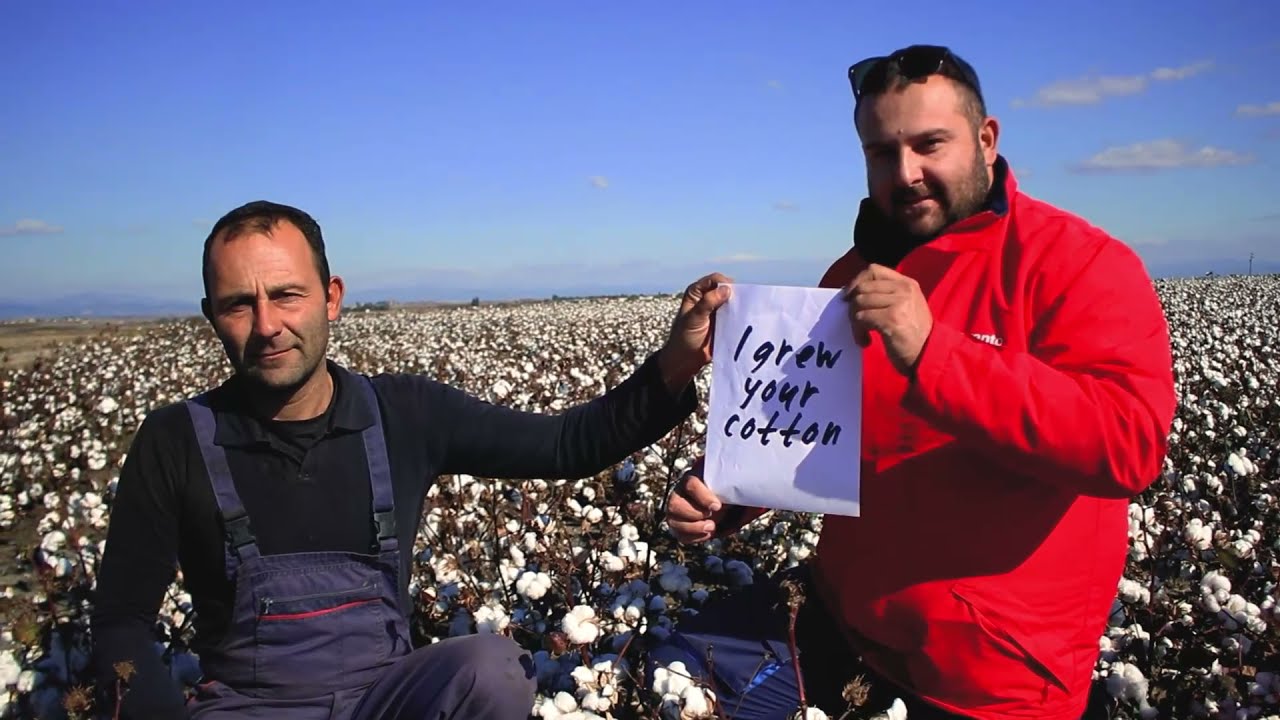 Greek Sustainable and Traceable Cotton