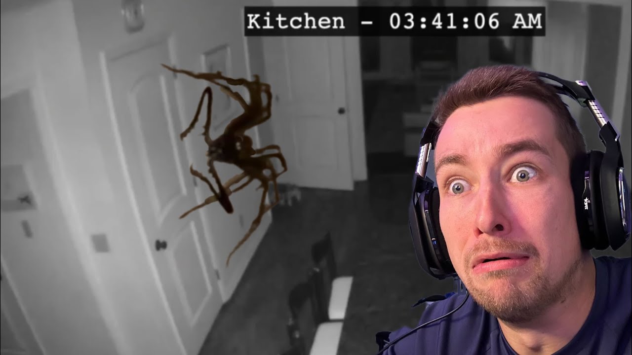 There's Something Wrong With This Spider...