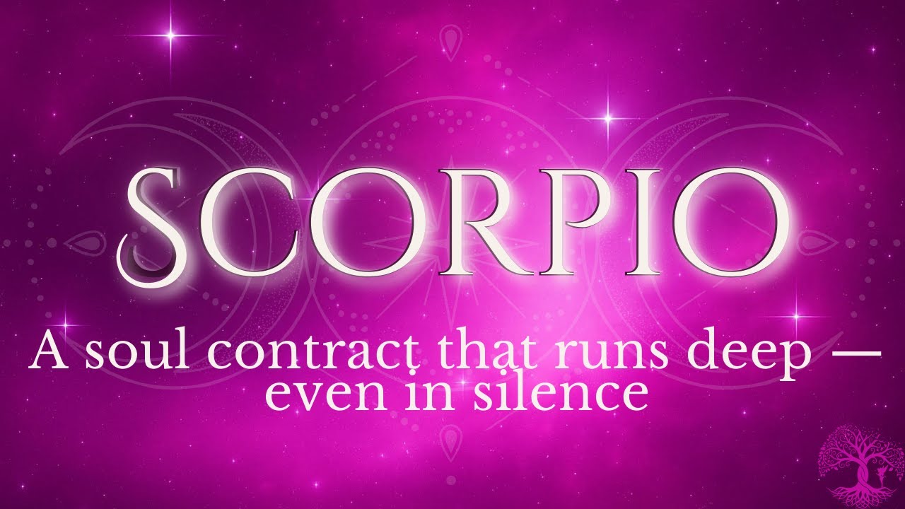 SCORPIO ♏️ No Contact / No Communication — A Soul Contract That Runs Deep | Timeless Tarot Reading
