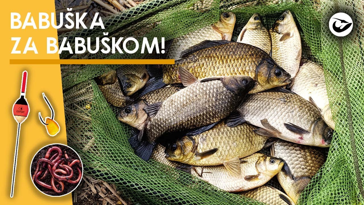 Pecanje babuške na novom kanalu! RAZBIO SAM JE!