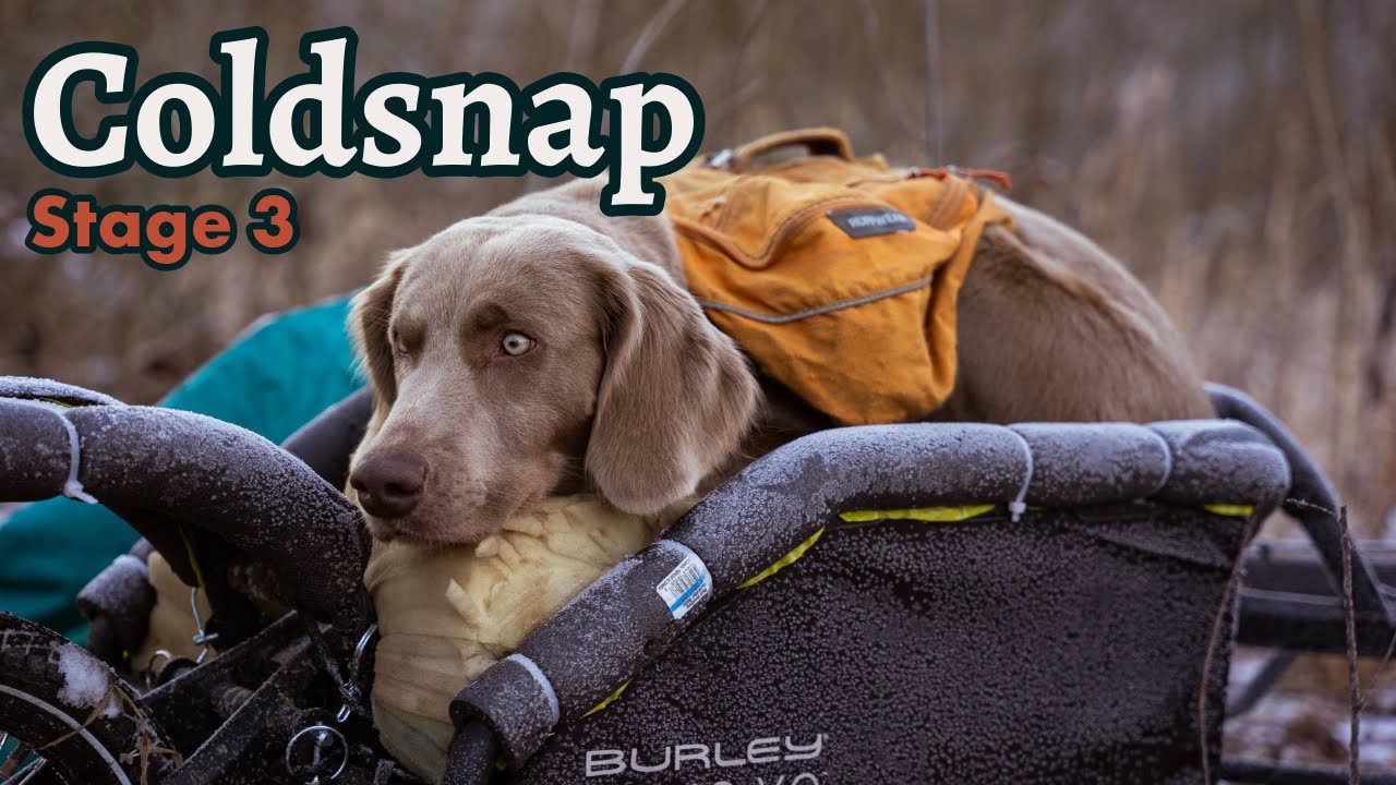 Bikepacking Canada to Argentina with my Dog