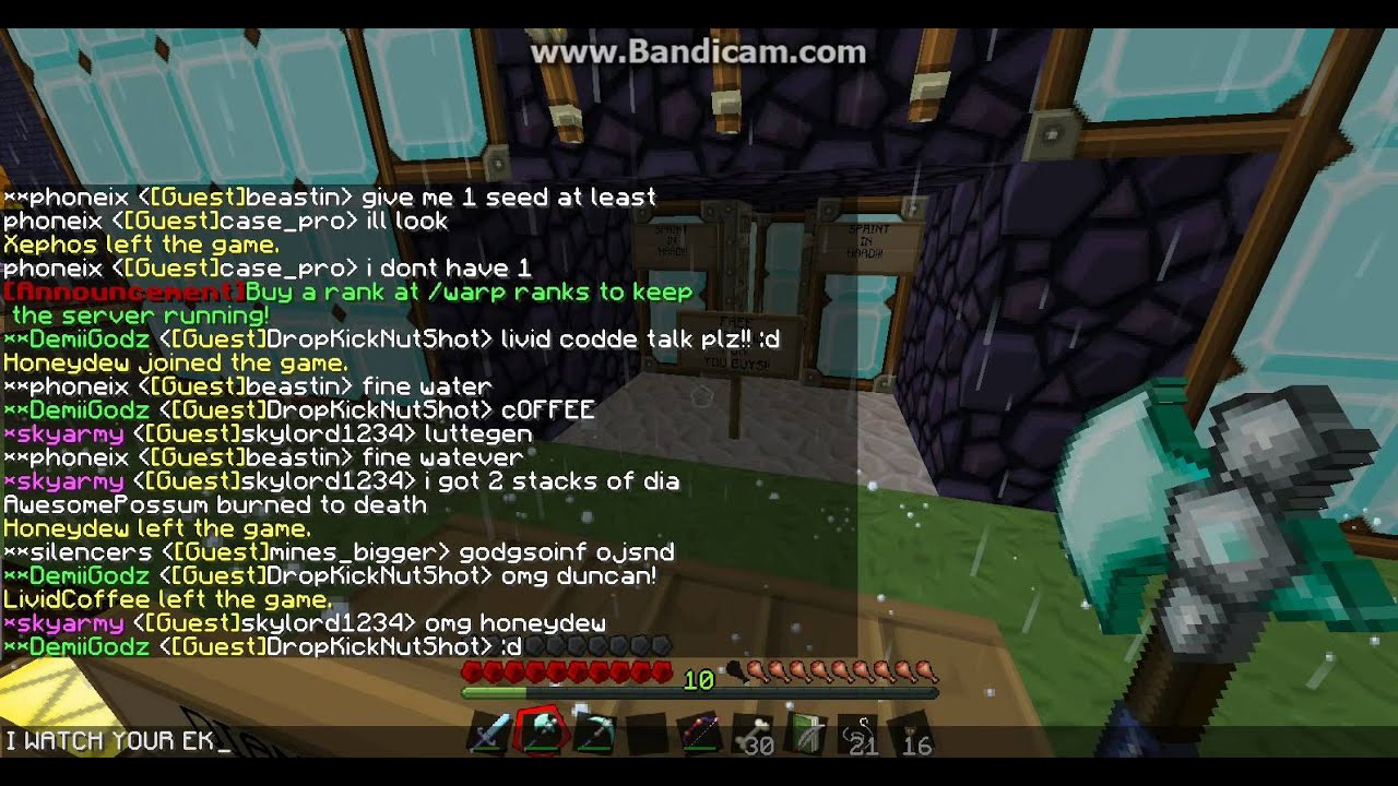 LividCoffee Xephos and honeydew IN MY SERVER