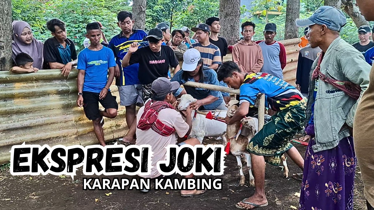 EXPRESI JOKI  KARAPAN KAMBING EVENT JELANG BULAN PUASA