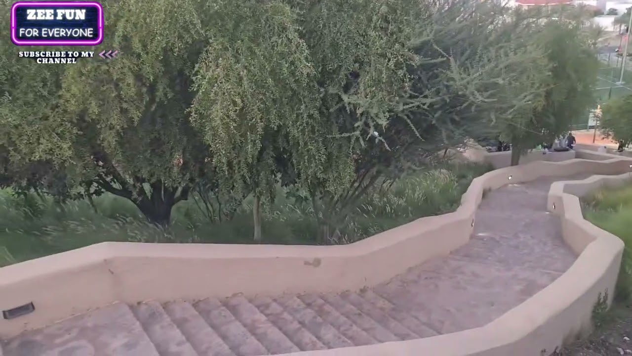 Peaceful Green Surroundings | Nature Abbience for Relaxation [Calm Moments in Natural Environment]