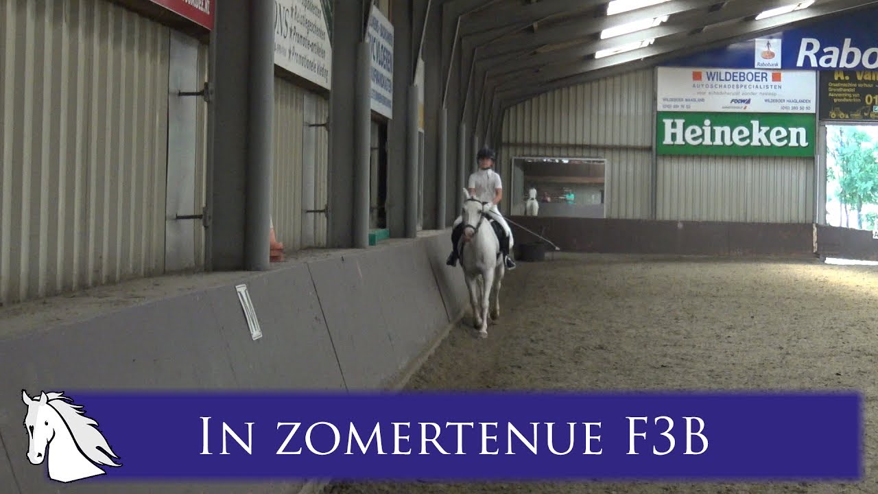 FNRS proef F3B Tessa op Bincky juni 2017 -de hele proef- * Hart voor Paarden *