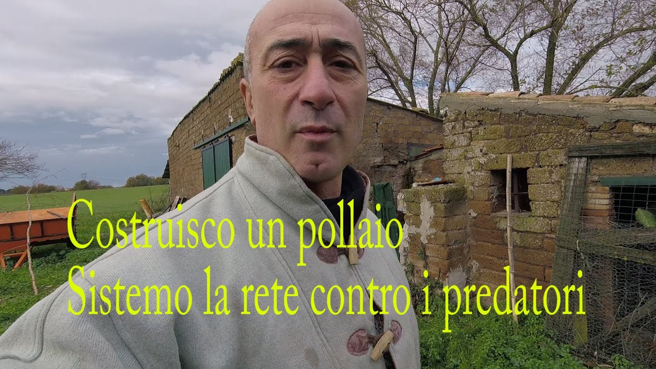 Costruisco un pollaio fai da te
