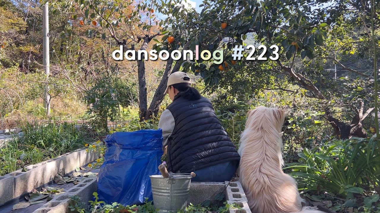 SUB 단순로그223 우울할 틈이 없는 산골은둔생활 vlog