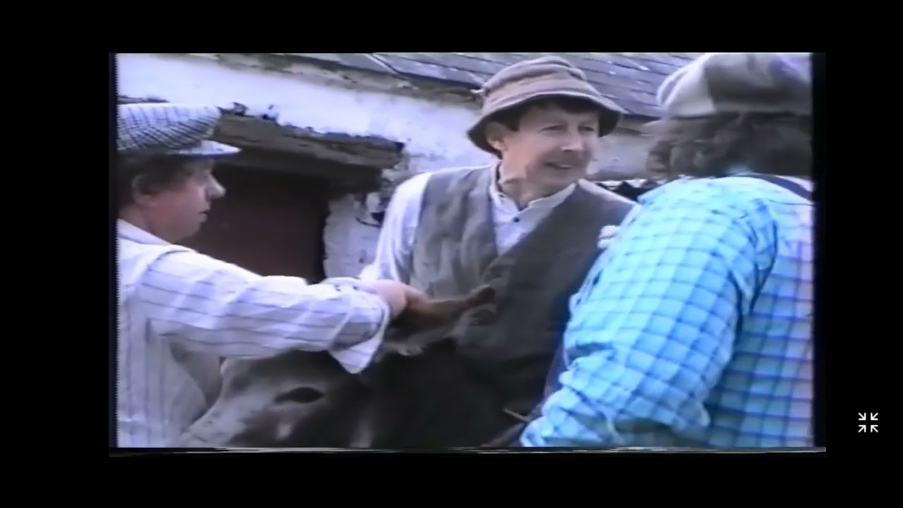 Richie Kavanagh And The Bachelors In Trouble