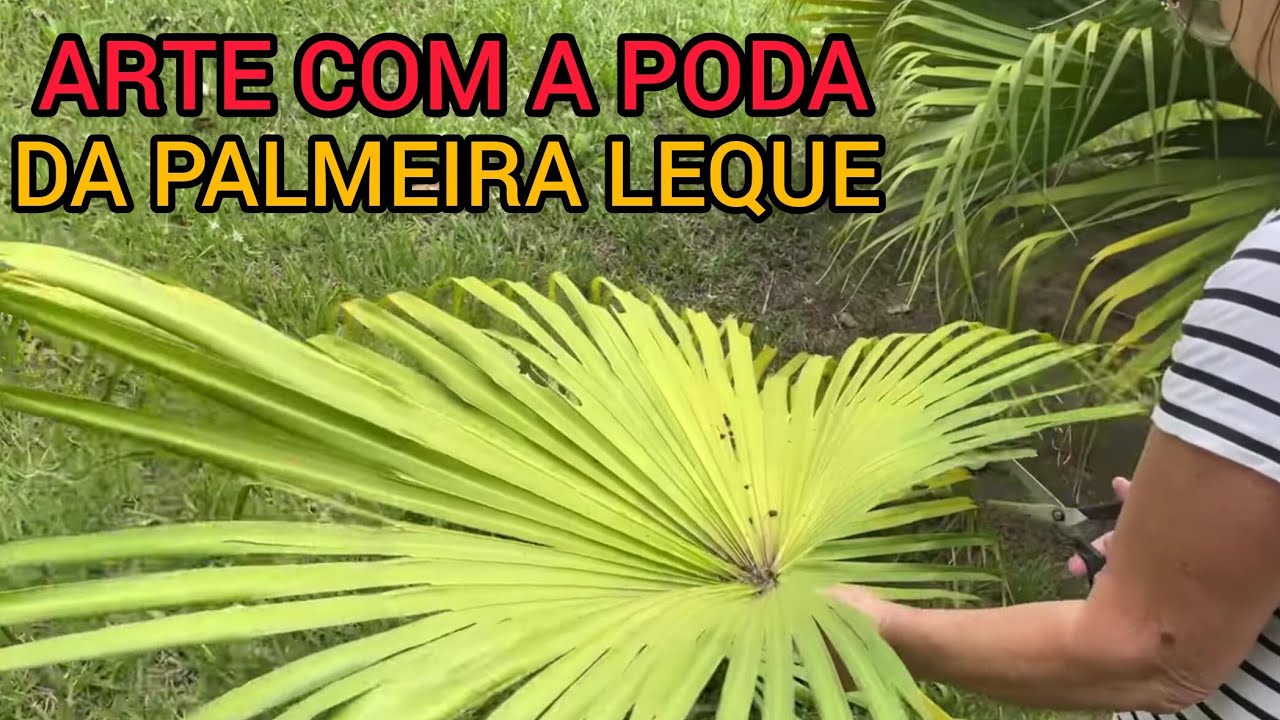 APROVEITANDO A PODA NO SÍTIO PRA FAZER ARTE