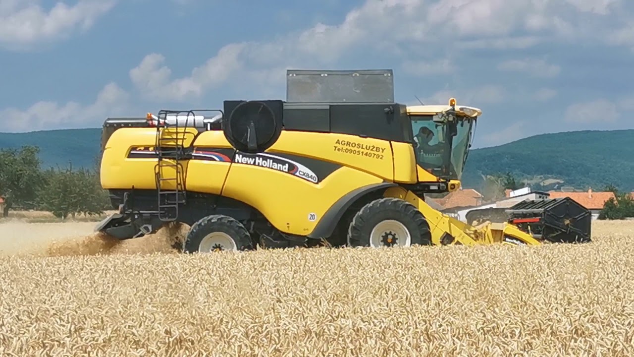 Žatva 2021 Pšenica NEW HOLLAND CX840 a CLAAS LEXION 560 2. časť