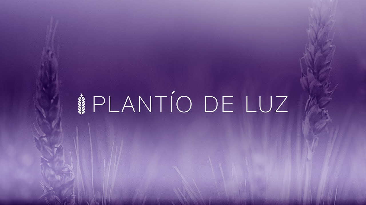Plantío de Luz | En vivo