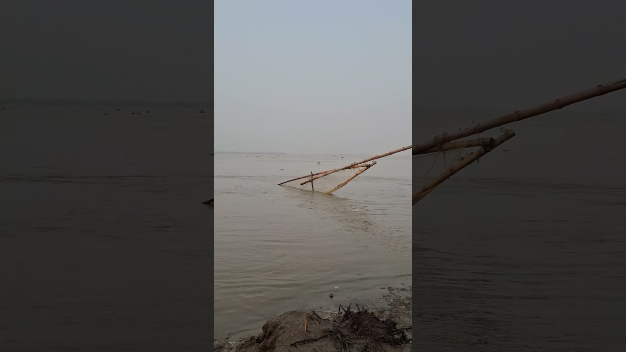 New style of Hilsa fishing in the Padma River 12 #fishing #fish #fishinglife