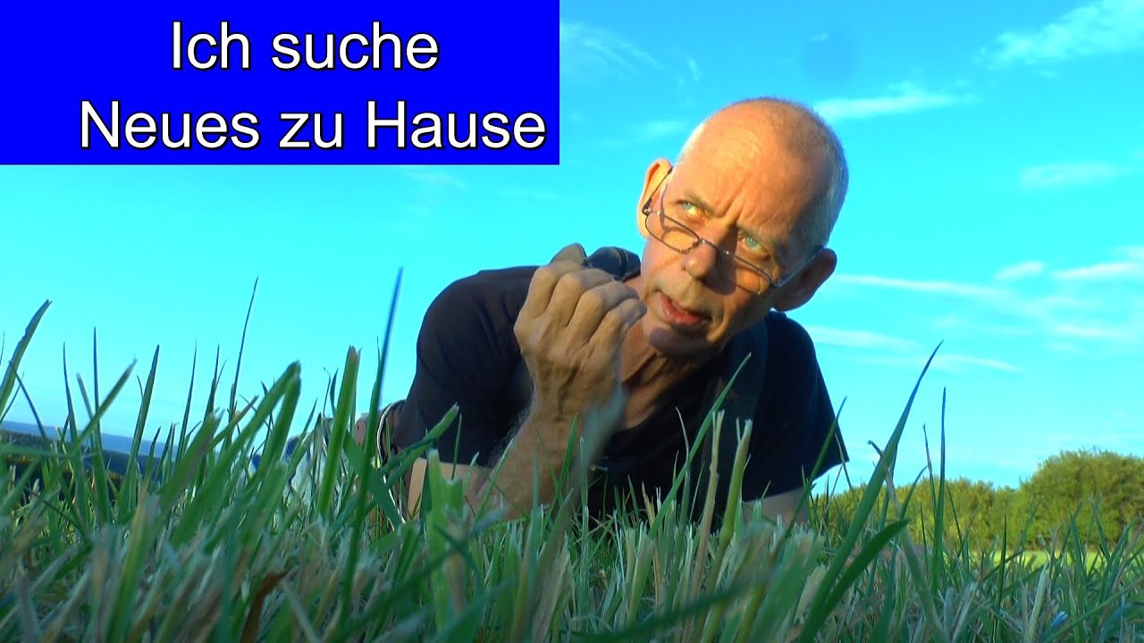 Ich suche ein neues zu Hause f&uuml;r mich