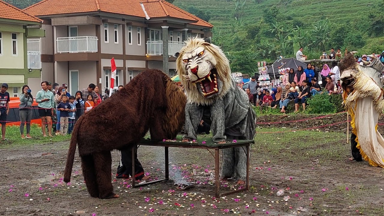 Singa Liar Seni Bantengan Singa Putih Feat Karya Muda Batu Live padusan Pacet Mojokerto