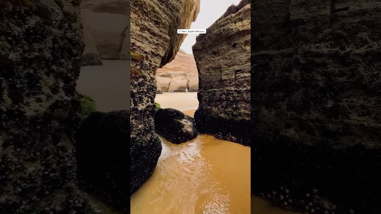 TAMRI BEACH AGADIR || MOROCCO #morocco #agadir #beach #shorts
