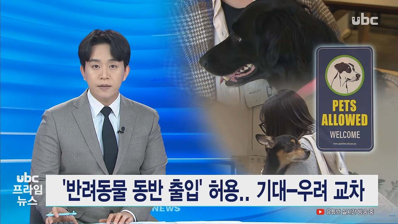 '반려동물 동반 출입' 허용..기대-우려 교차 260315