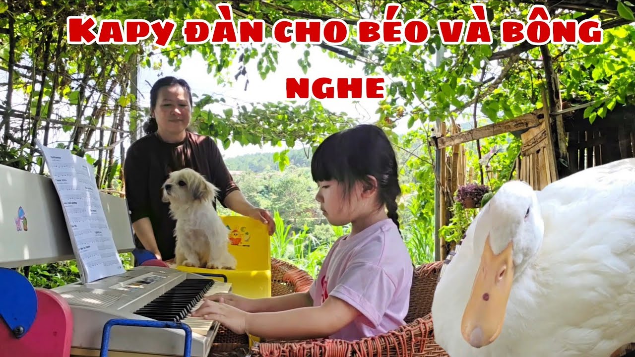 BỮA TIỆC ÂM NHẠC CÙNG BÉO VÀ BÔNG / KAPY TANGO ĐÀN 
