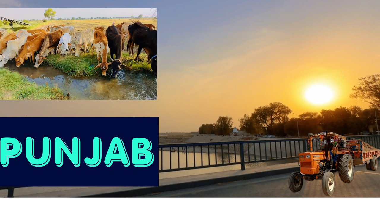 Punjab Village #punjab #vlog #punjabi #viral #viralvideo