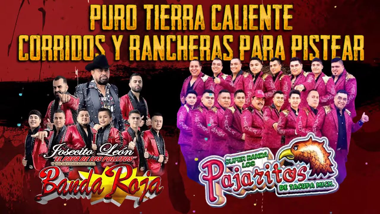 Banda Roja y Pajaritos de Tacupa 🔥100% Tierra Caliente Mix 2024 🔥 Corridos Y Rancheras Para Pistear
