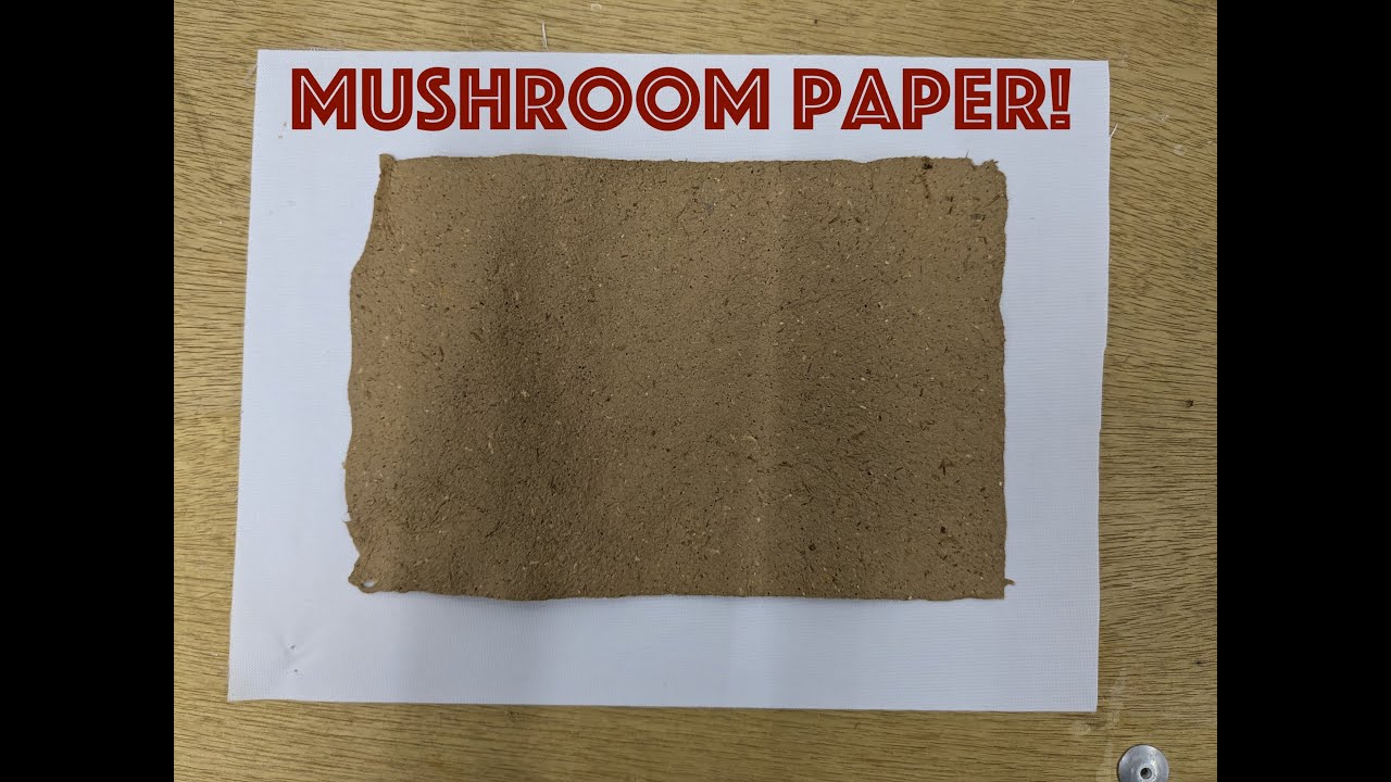 Making mushroom paper