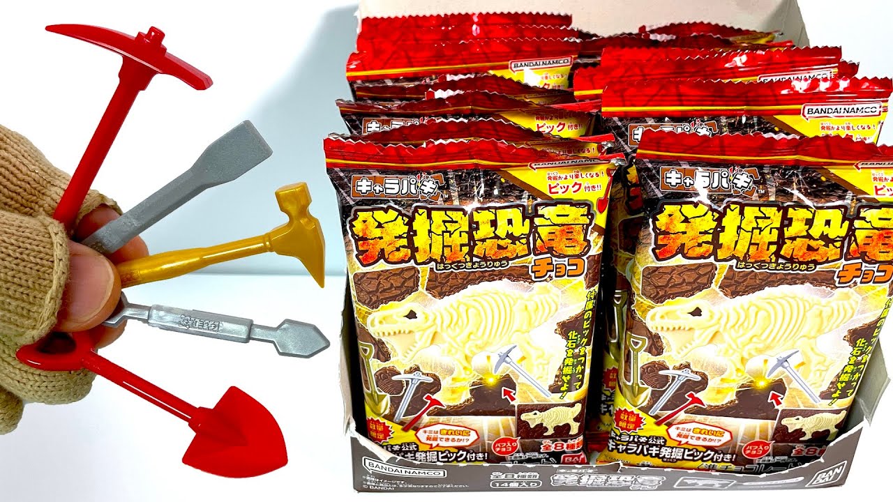 キャラパキ 発掘恐竜チョコ 発掘ピック付き!『1BOX 開封』Excavated dinosaur fossil excavation tools Chocolate Renewal