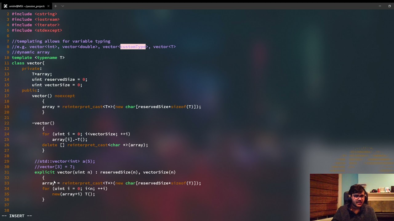 C++ Vector implementation with minimal STL Line by Line - Part 1: Initializers and Destructors