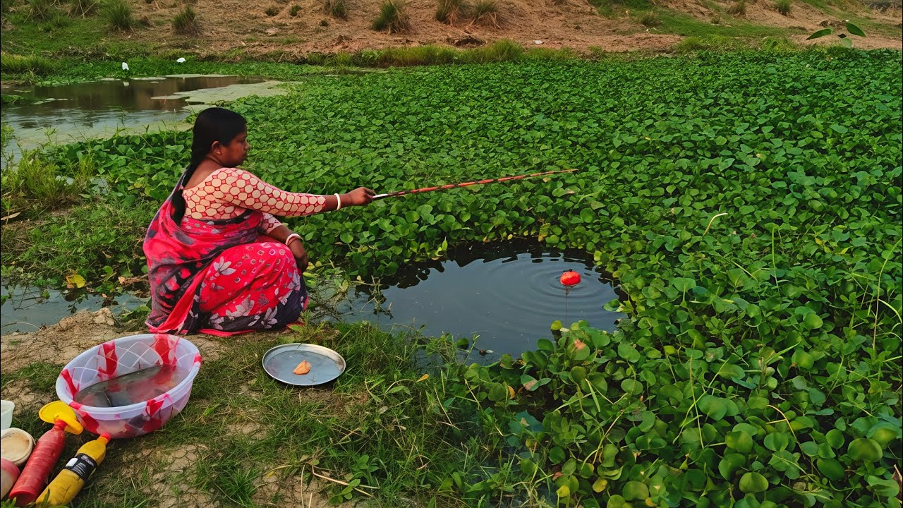 FISHING VIDEO🎣|| The village Fishar woman fishing in the canal using catch many fish || Hook Trap