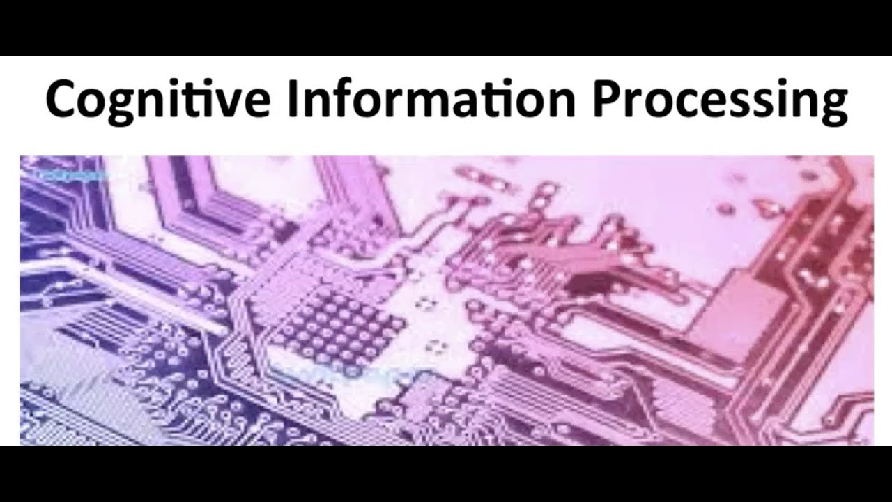 Cognitive Information Processing Theory