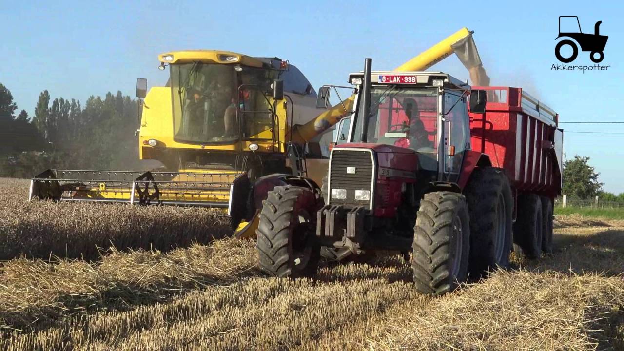 Loonwerken Daem Tarwe oogsten/Harvesting Wheat