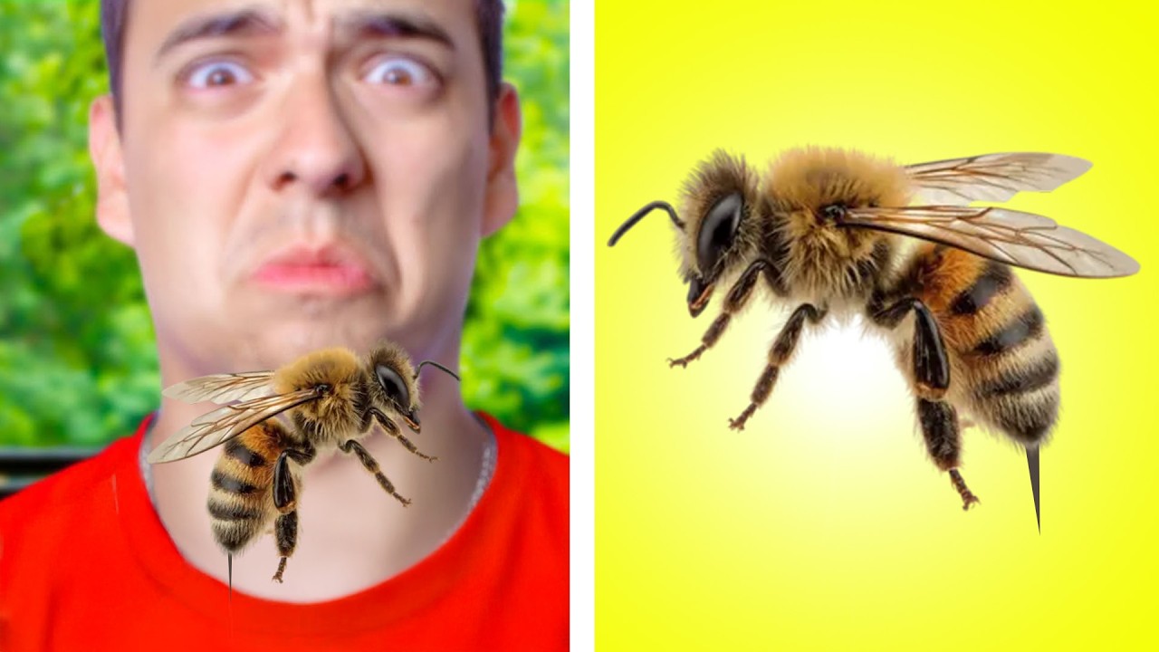 11 BEST EMERGENCY TIPS & TRAVEL HACKS SURVIVAL GUIDE BY CRAFTY HACKS