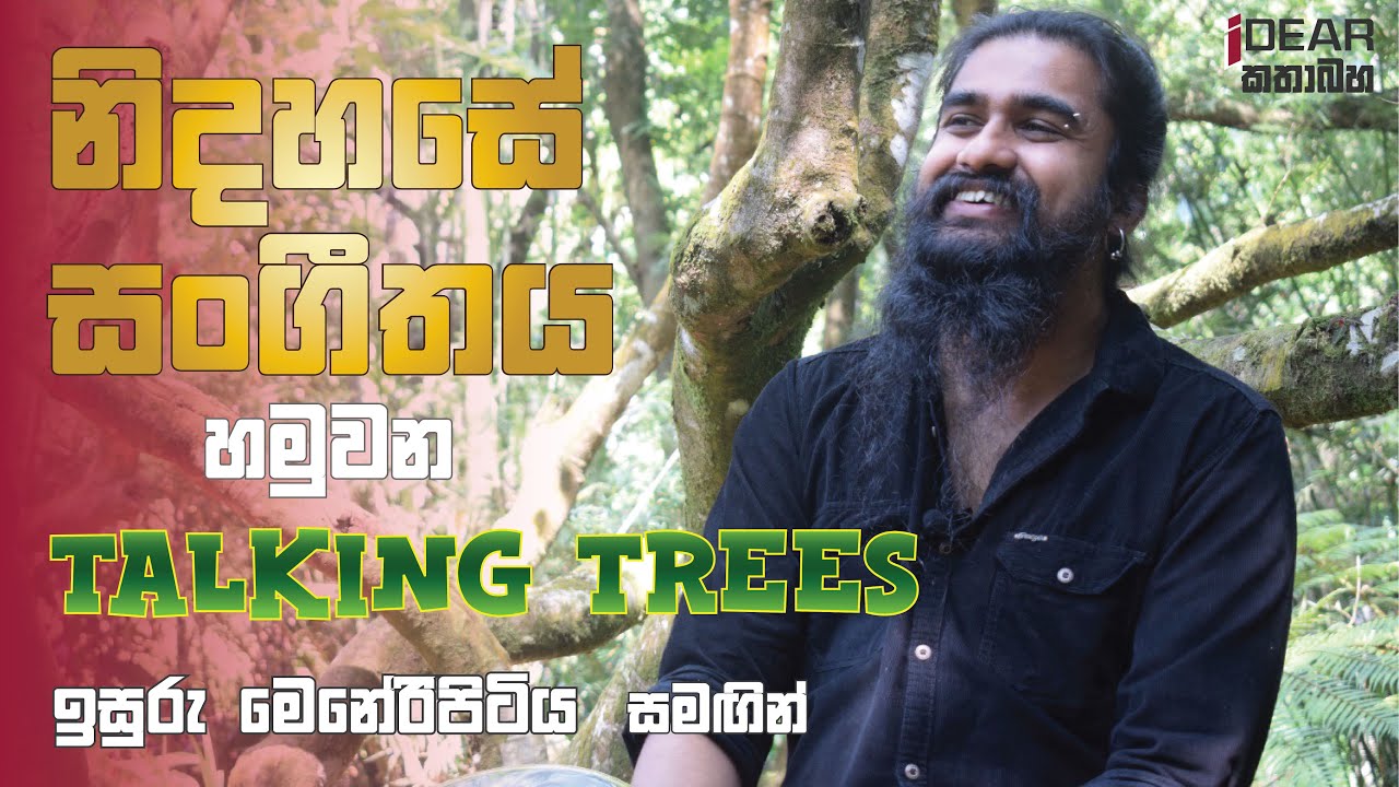 නිදහසේ සංගීතය සොයා යන කලාකරුවා - Isuru Meneripitiya || Talking Trees