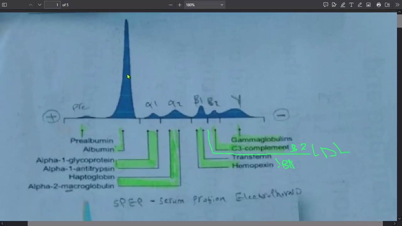 CH3# Blood Protein 