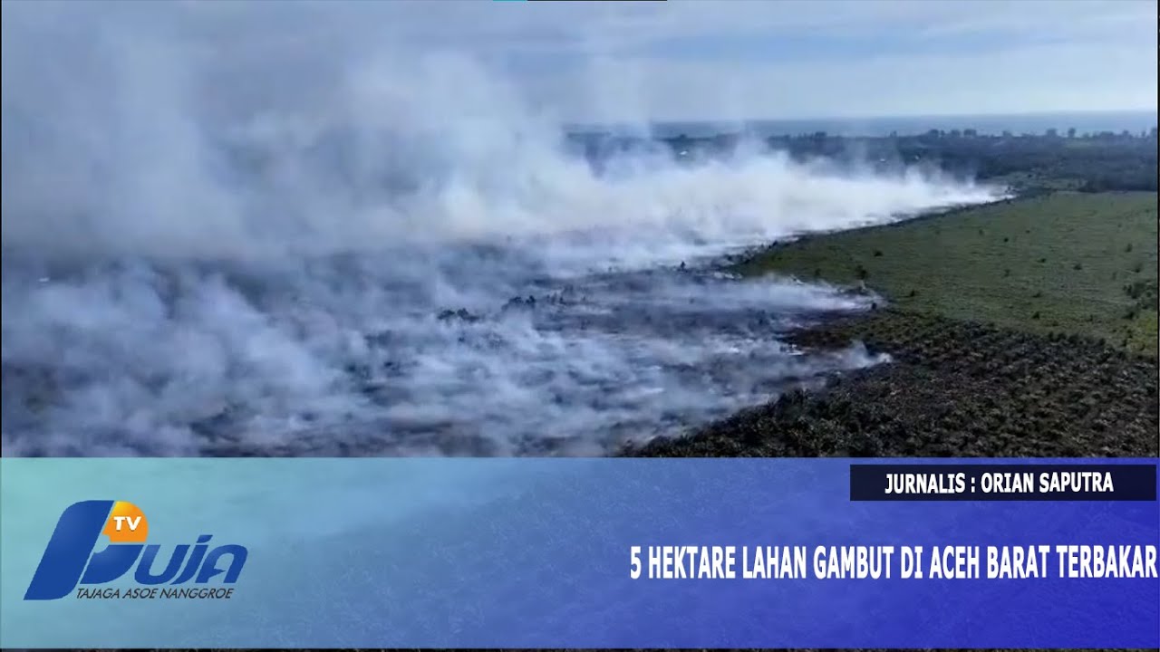 5 Hektare Lahan Gambut di Aceh Barat Terbakar