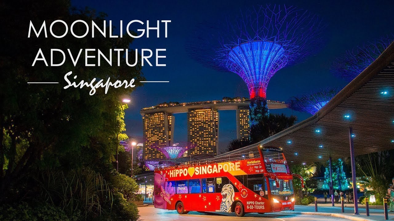 Moonlight Adventure Singapore | Top Night Tours Experience