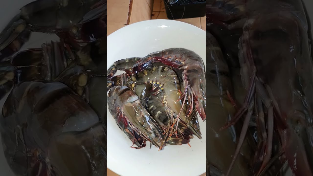 Garlic Butter Prawn|Full Video|ASMR