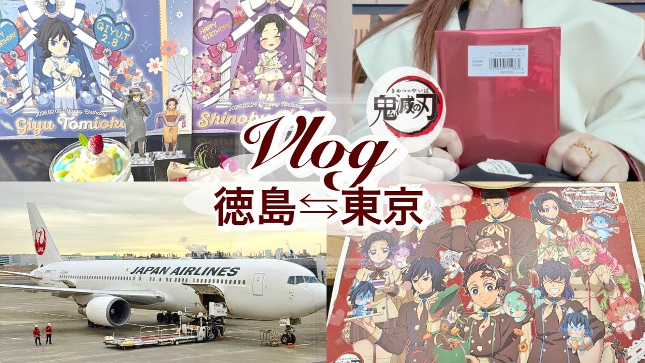 【鬼滅の刃】当たらないならもう遠征するしかないVD&WD|義勇しのぶBD【推し活vlog】