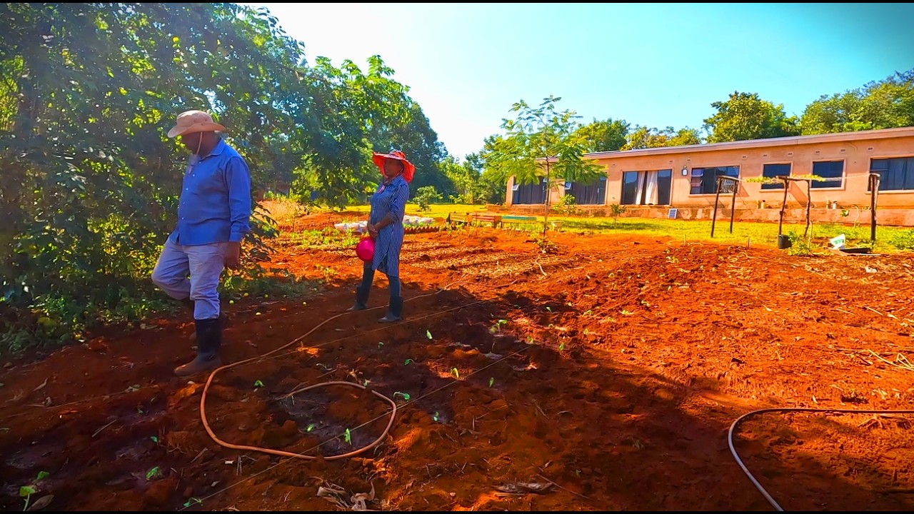 #39 Rural freedom. Building a modern homestead in rural Zimbabwe.