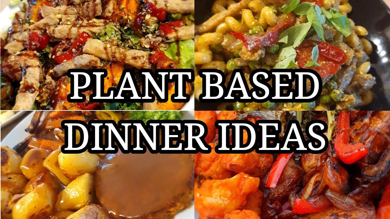 WEEK OF FAMILY DINNER IDEAS ~ PLANT BASED/VEGAN 💙